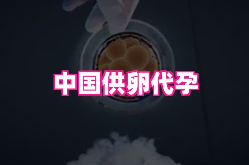 69助孕网 2